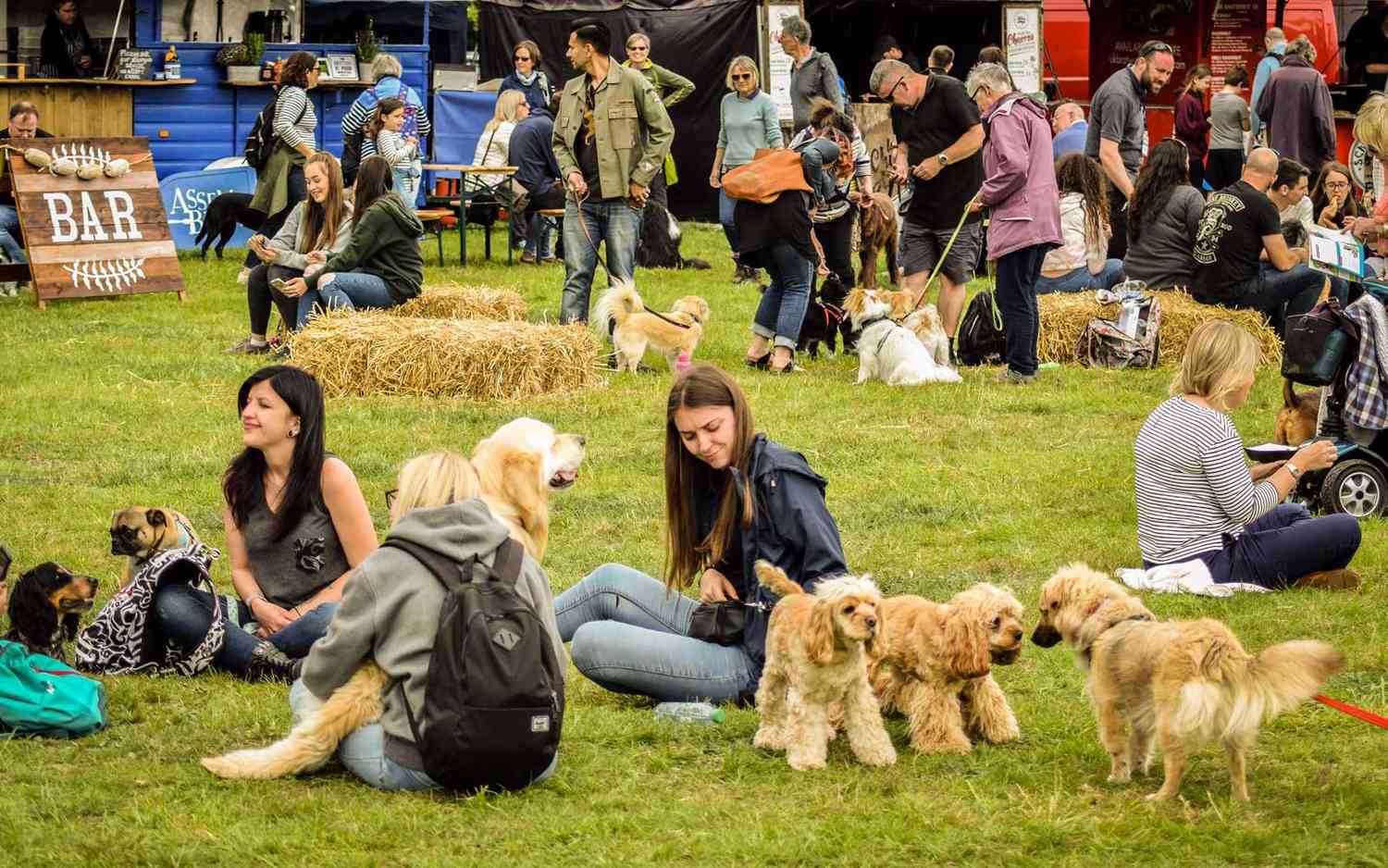 The Dog Policy – LancsFest 2025